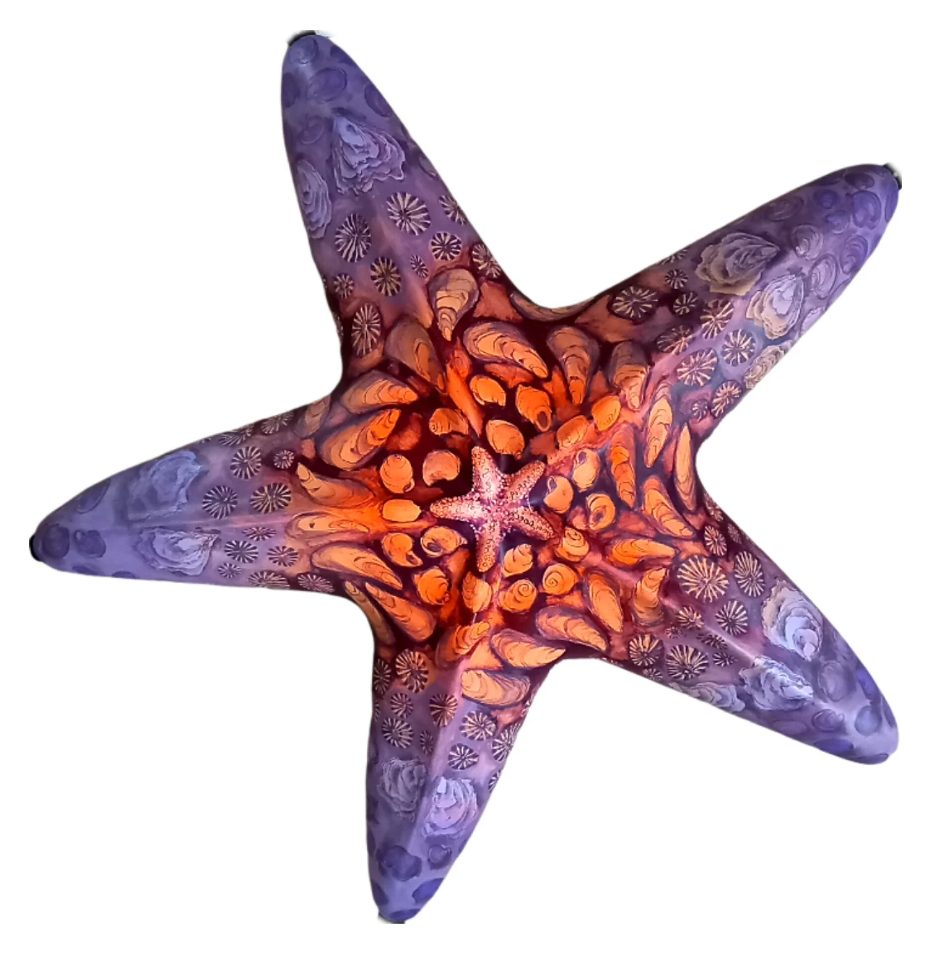 Starfish Blog — Starfish Galaxy